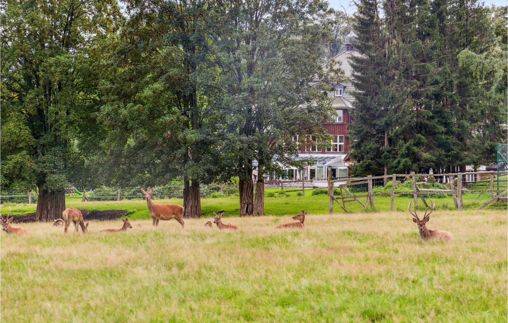 Stunning Home In Oberharz With Wifi Benneckenstein Exteriér fotografie